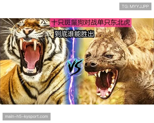 谁能笑到最后?💣 谁能笑到最后?💣